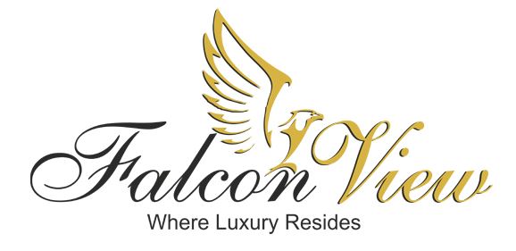 falcon view logo